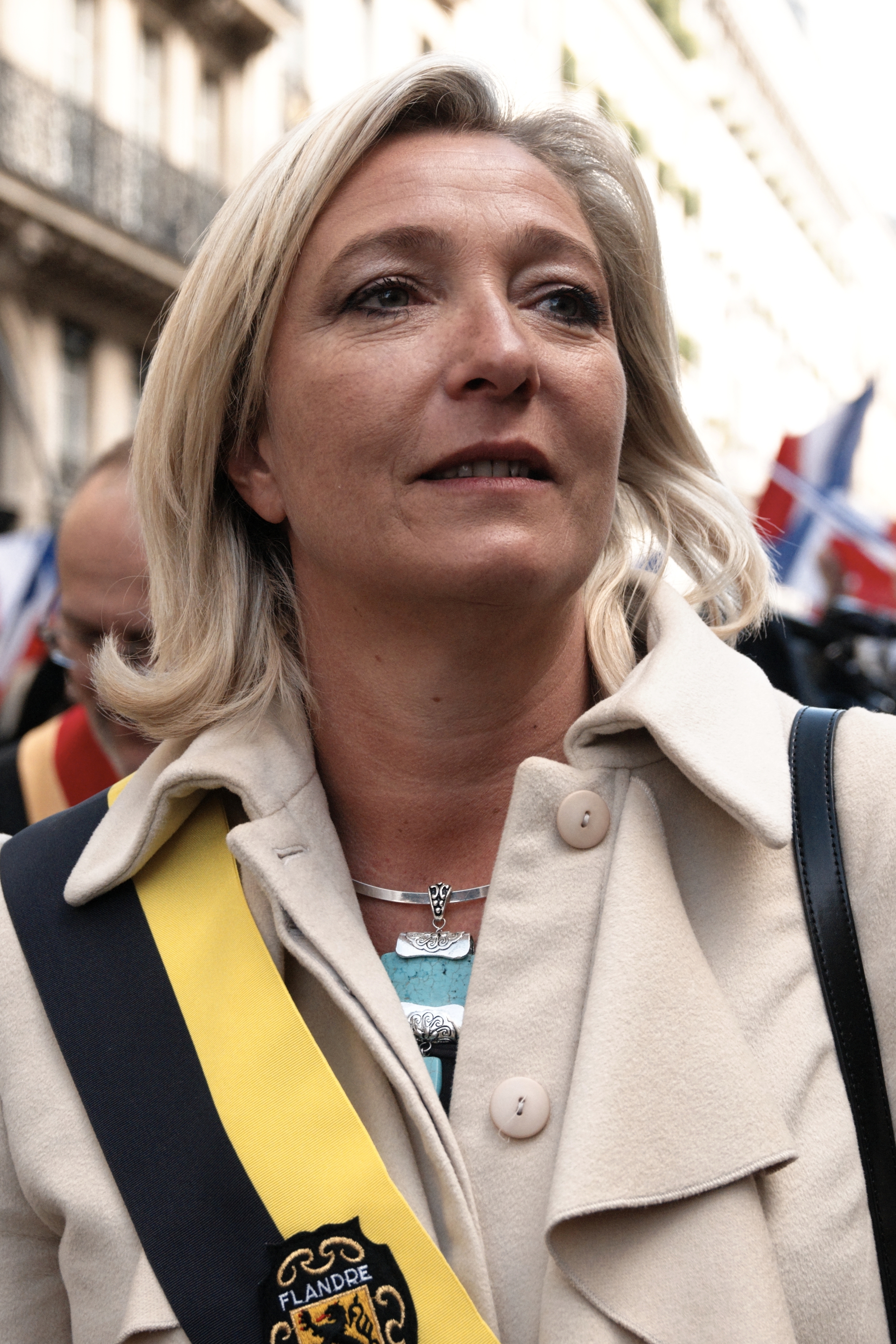 https://commons.wikimedia.org/wiki/File:Front_National_2010-05-01_n04.jpg