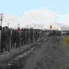 Idomeni migranti dicembre-33